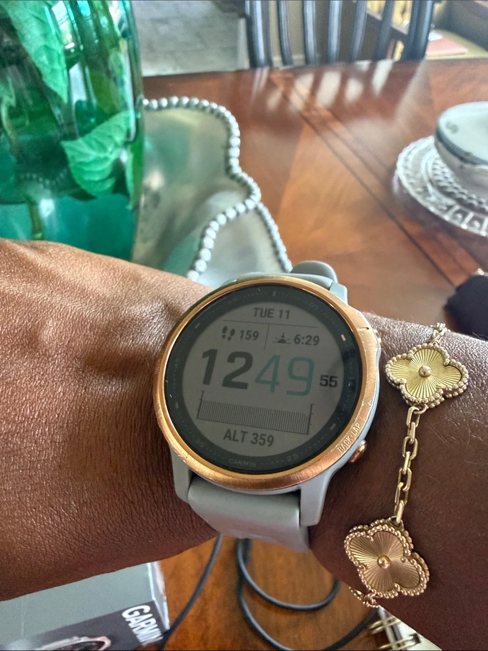 garmin Fenix 6S smartwatch blue/grey band with rose gold bezel